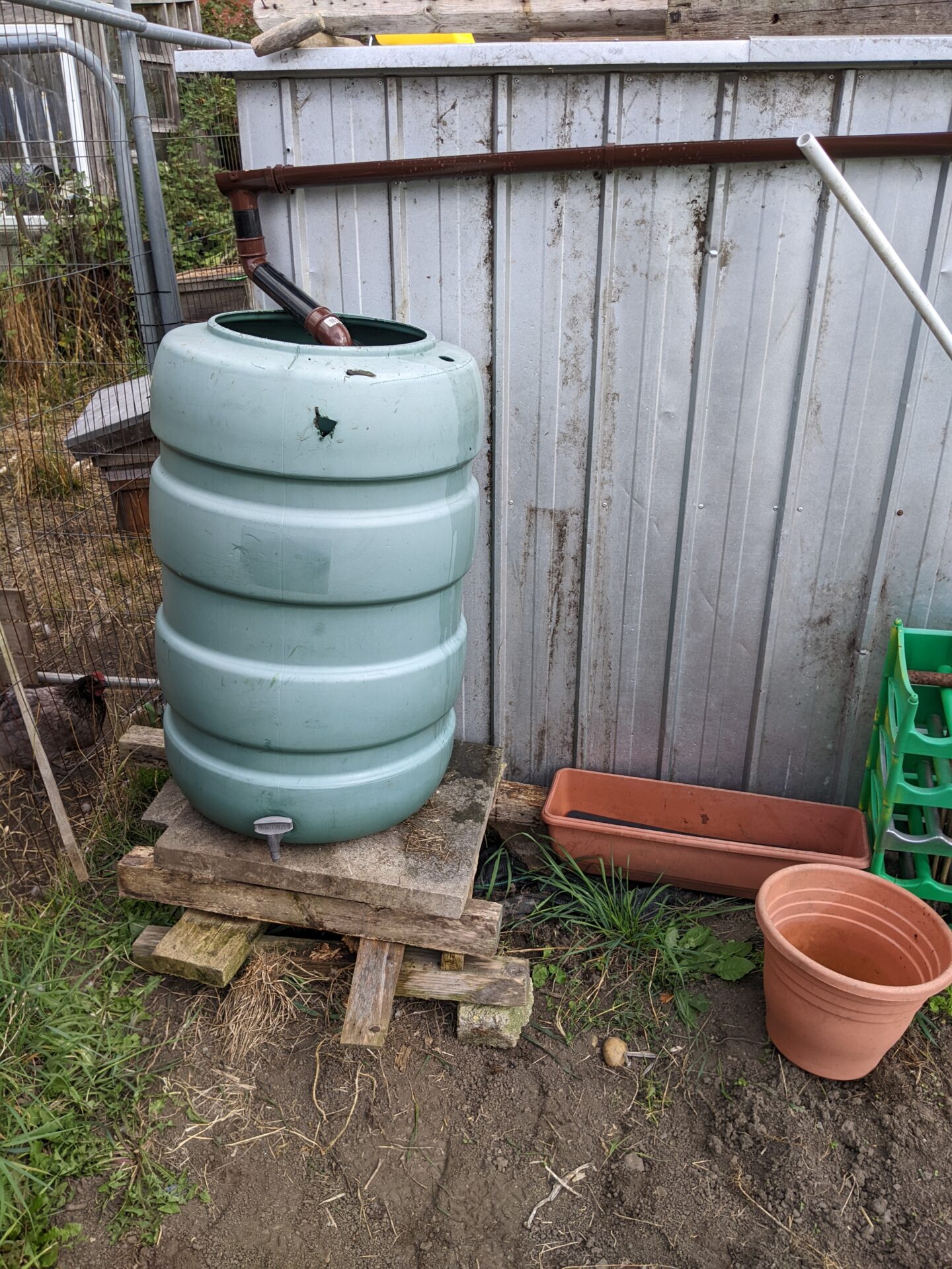 Glueing up a butt hole