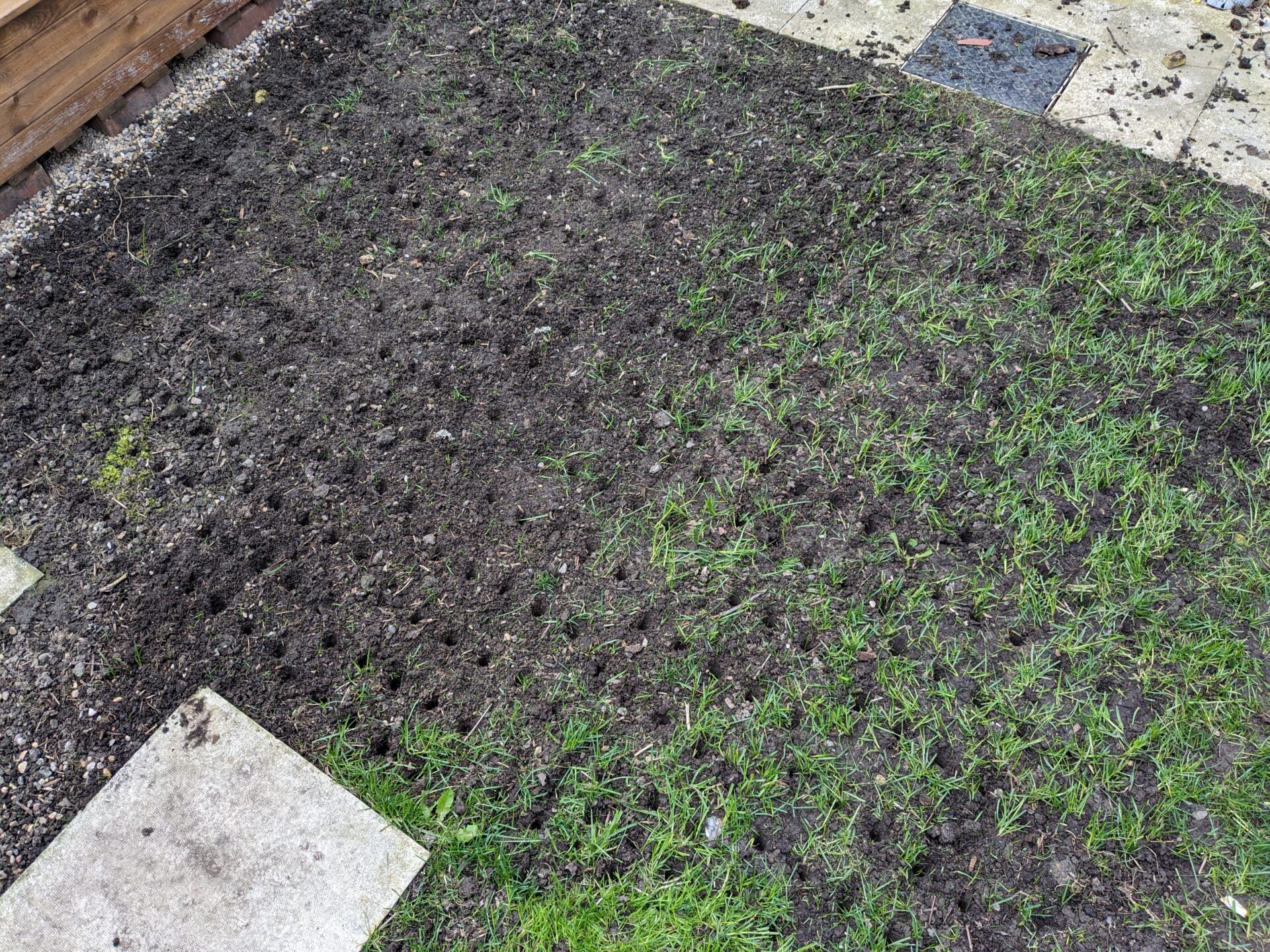 Trying to repair my lawn